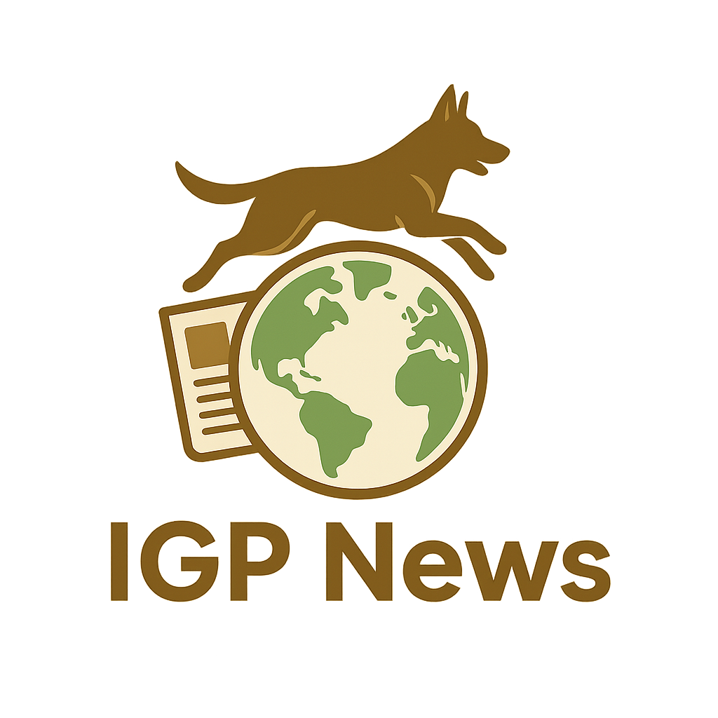 IGP News Logo